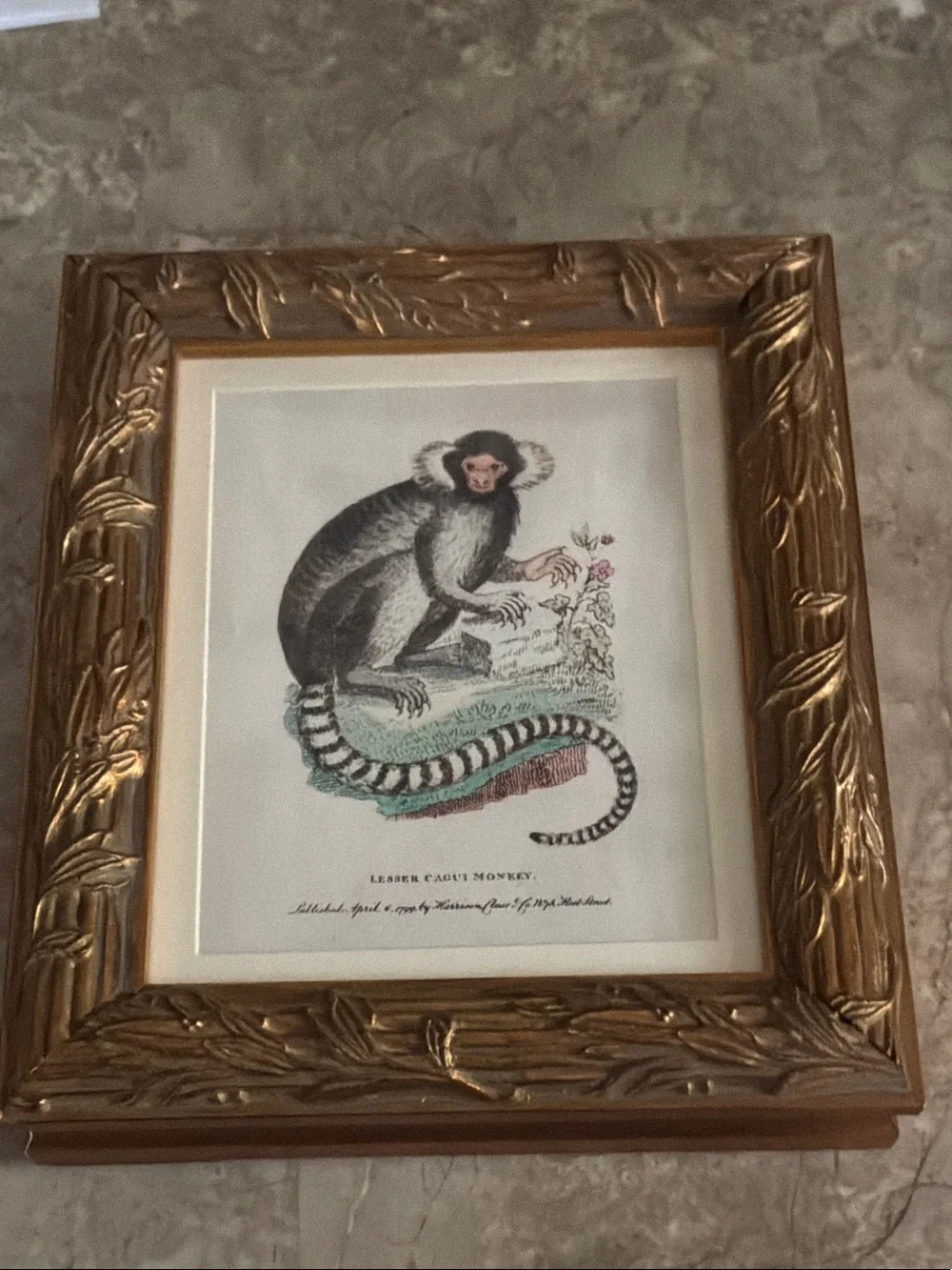 Gold Framed Botanical Monkey Wall Art